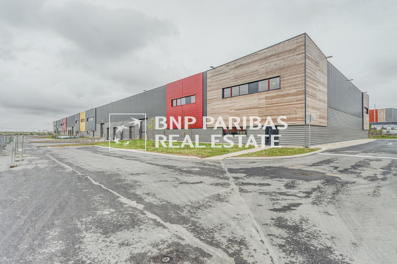 Local d'activité Louvres 2314m² Location local d'activité Louvres Val-d'Oise OLACT2530703 7
